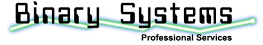 Binary Systems Professional Services and Support