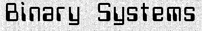 Binary Systems Consulting