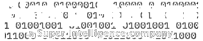Professional Services by Binary Systems, a Super Intelligence company