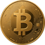 Bitcoin coin